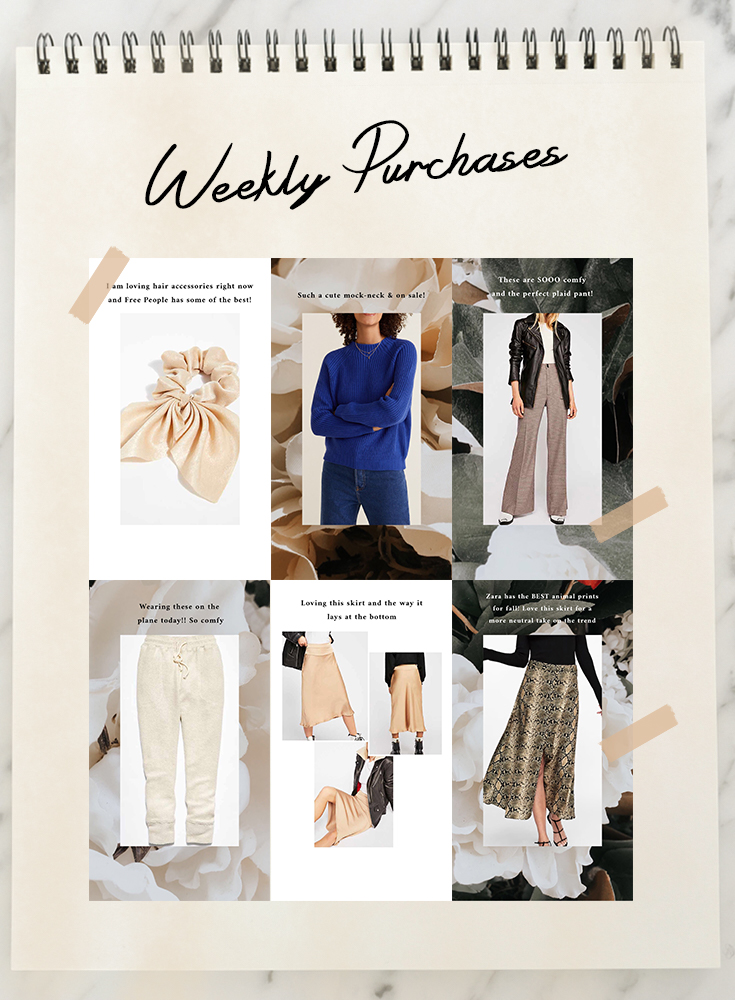 emily luciano weekly purchases 10_19.jpg